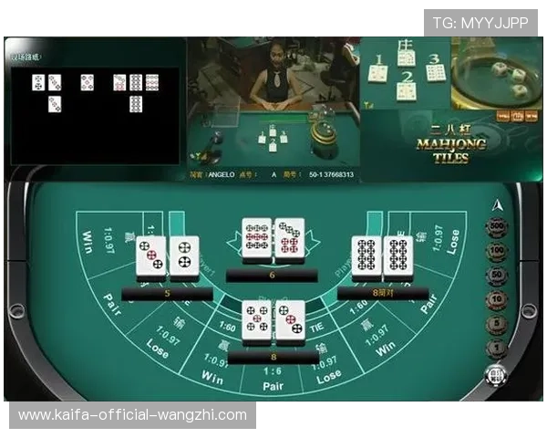 二八杠的夏天：夏日休闲娱乐必备，二八杠游戏规则详解与实战技巧全攻略