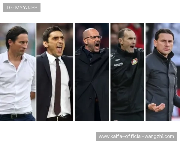 凯发天生赢家官网最新赛事资讯，第一时间掌握热门比赛动态